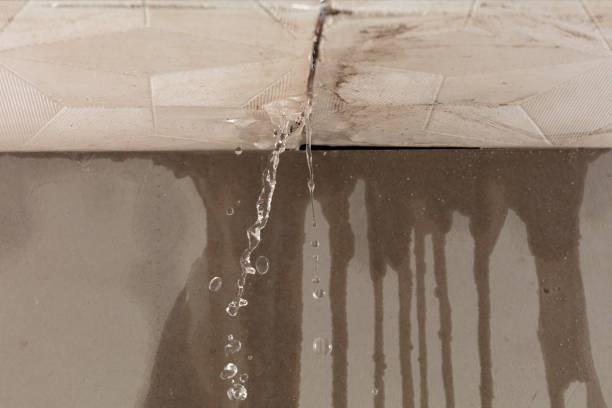 Professional Water Damage Repair technician working in Eustace, TX